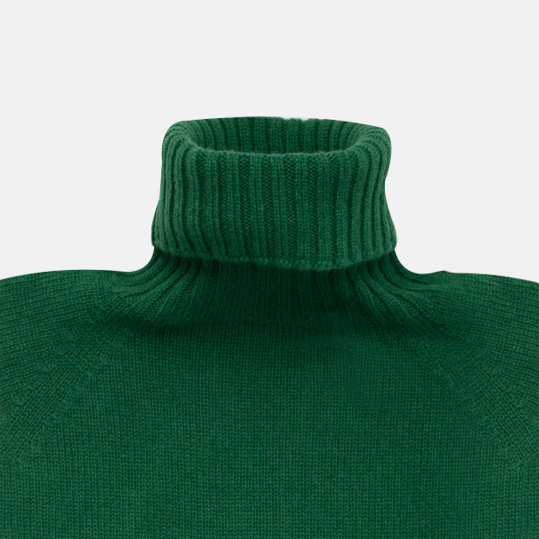 Fern Cashmere Turtleneck Sweater