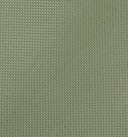 Green Solid Color Panamino Silk Tie - TAL282