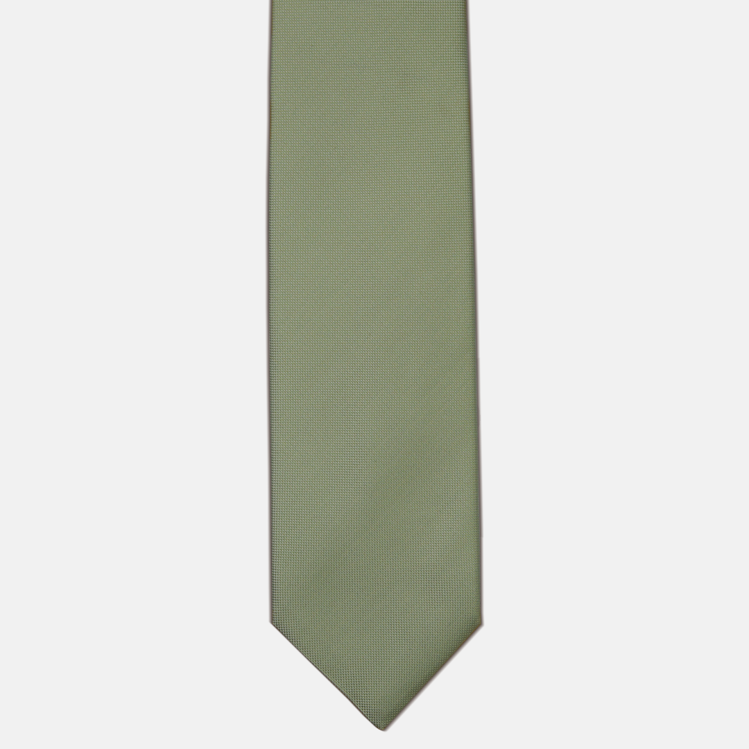 Green Solid Color Panamino Silk Tie - TAL282