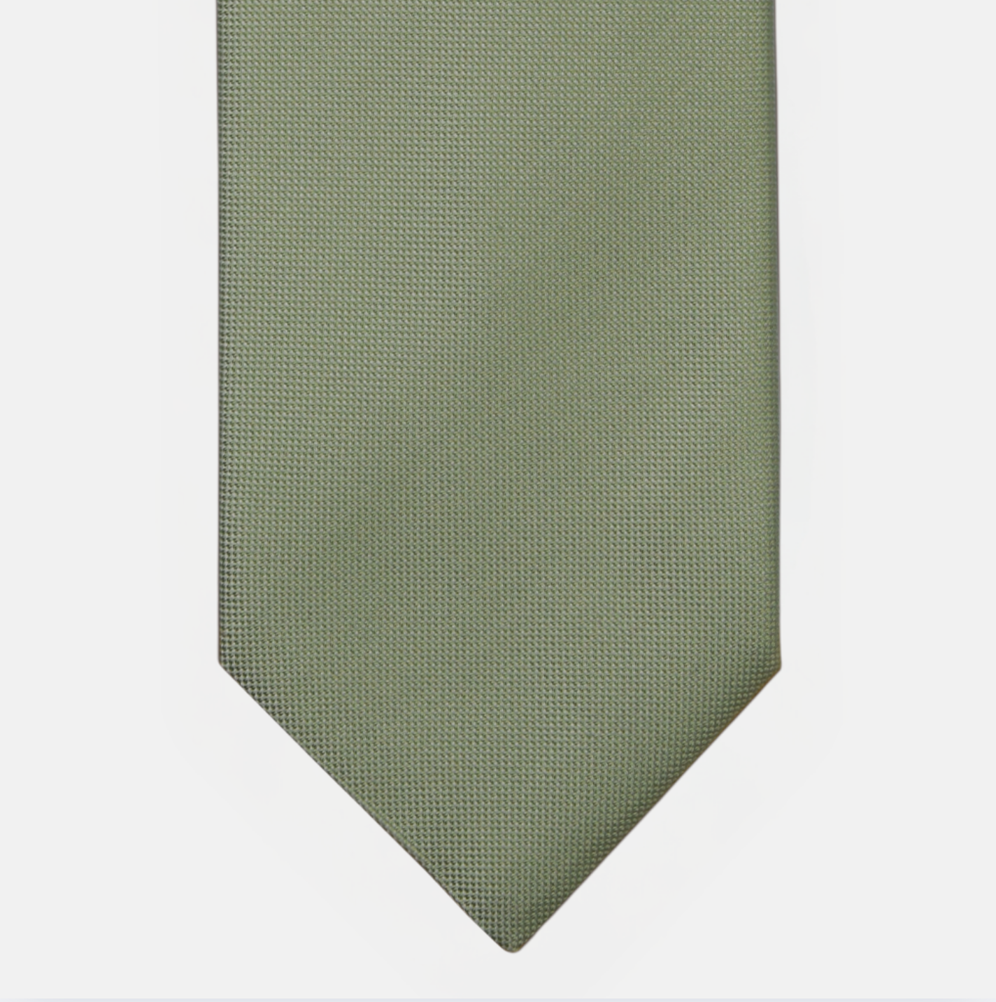 Green Solid Color Panamino Silk Tie - TAL282