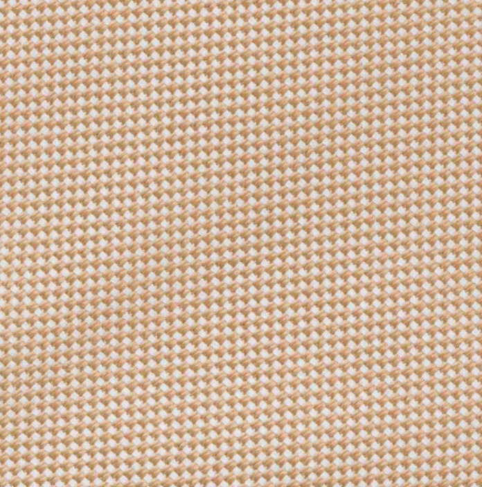 Beige Plain Panamino Silk Tie - TAL271