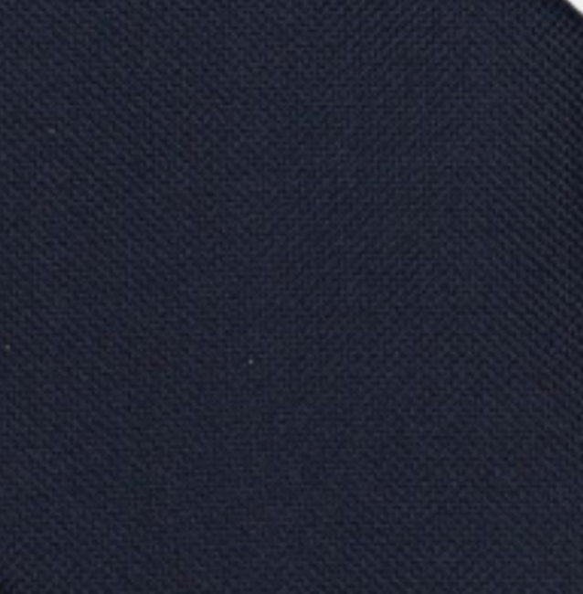 Plain Blue Panamino Silk Tie - TAL263